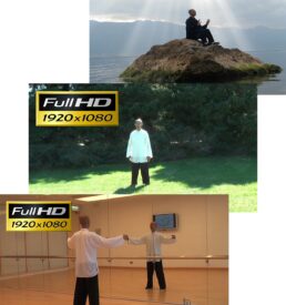 Collection of Master Cheung's Set 1 Videos