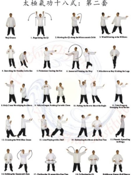 Tai Chi Qigong Shibashi Set 2 Poster Tai Chi Qigong Feng Shui