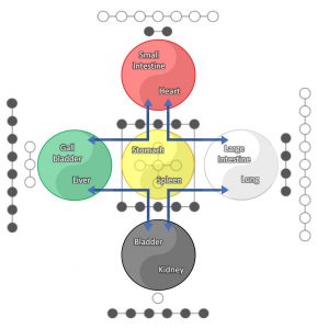 qi gong for digestion, stomach and spleen